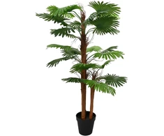 Dirbtinė Ventiliatoriaus Palmė Žalia 60 x 25 x 170 cm