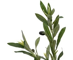 Dirbtinis alyvmedis, žalios spalvos, 120cm, 450 lapų