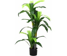 Dirbtinis dracenos medis, žalios spalvos, 120cm, 36 lapai