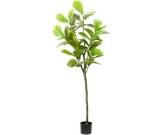 Dirbtinis fikusas, žalios spalvos, 165cm, 48 lapai