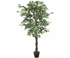 Dirbtinis fikusas, žalios spalvos, 200 cm, 1260 lapai