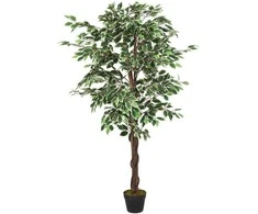 Dirbtinis fikusas, žalios spalvos, 200 cm, 1260 lapai