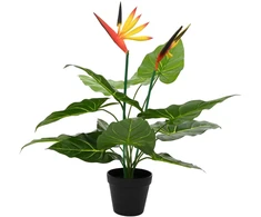 Dirbtinis Strelitzia Augalas Žalia 65 x 13 x 55 cm