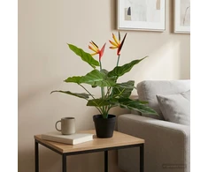 Dirbtinis Strelitzia Augalas Žalia 65 x 13 x 55 cm