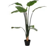 Dirbtinis Strelitzia Augalas Žalia 70 x 18 x 155 cm