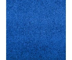 Durų kilimėlis Mėlyna ir juoda 120 x 250 cm 100% poliamidas