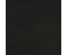 Dvivietė sofa, juoda, 160x77x82 cm, aksominė