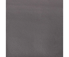 Dvivietė sofa, pilka, 160x81x84 cm, dirbtinė oda