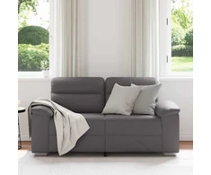 Dvivietė sofa, pilka, 160x81x84 cm, dirbtinė oda