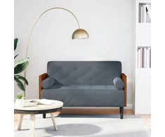 Dvivietė sofa su pagalvėlėmis, tamsiai pilka, 110 cm, aksomas