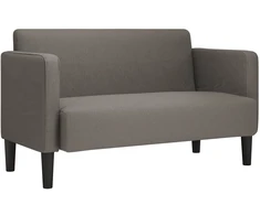 Dvivietė sofa, šviesiai pilka, 109 cm, velvetas, audinys