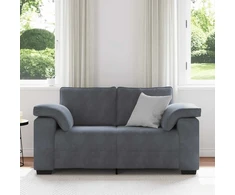 Dvivietė sofa, tamsiai pilka, 160x77x82 cm, aksomas