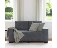 Dvivietė sofa, tamsiai pilka, 160x77x82 cm, aksomas