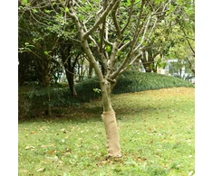 Džiuto ritinys, 0,5x50m, 100% džiutas, 200 g/m²