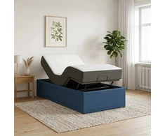 Elektrinis reguliuojamas lovos rėmas Mėlyna 200 x 90 x 33,5 cm