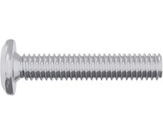 Galvos užrakto varžtas 12 pcs Sidabro M6 x 30 mm Plienas
