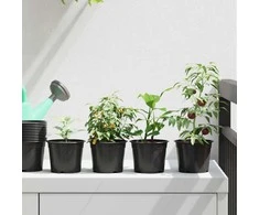 Apvalus gėlių vazonas 50 pcs Juoda Ø 10 x 8 cm Plastmasė