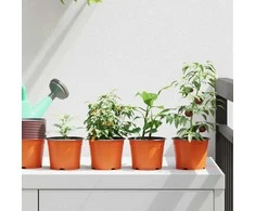 Apvalus gėlių vazonas 50 pcs Terakotos Ø 10 x 8 cm Plastmasė