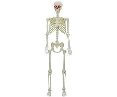 Helovino Skeleton Balta 155 x 38.5 cm Plastmasė