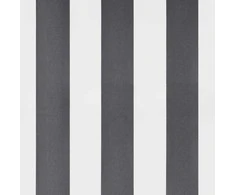 Ištraukiama markizė, antracito/balta, 3,5x2,5m, audinys