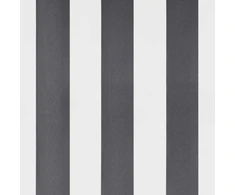 Ištraukiama markizė, antracito ir baltos spalvos, 3,5x2,5 m, audinys ir aliuminis