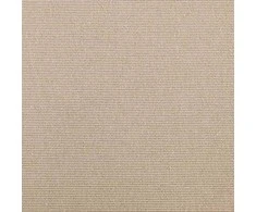 Ištraukiama markizė Smėlio 300 x 200 cm audinys