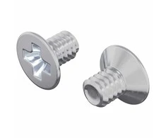 Įsukamo galvutės varžtai 2 pcs Sidabro M4 x 6 mm Plienas