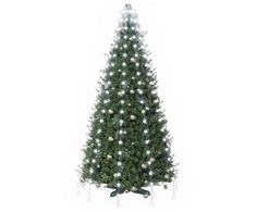 Kalėdų eglutės lemputės 210 LED Šalta balta 210 cm