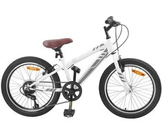 Kalnų Dviratis 24 Colių 6-Speed