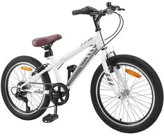 Kalnų Dviratis 24 Colių 6-Speed