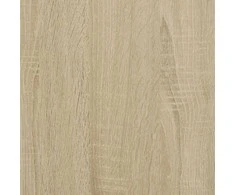 Kavos staliukas, sonoma ąžuolo spalvos, 100x49,5x31 cm