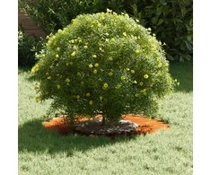 tinkamas plokščiam medžio žiedui Ruda Ø30 / 60 cm