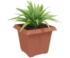 Kvadratinis gėlių vazonas 24 pcs Raudona plyta 33 x 33 x 26 cm