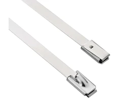 Laido tvirtinimas 12 vnt. 4,6 x 150 mm Sidabrinė