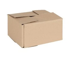 Sulankstoma dėžė 50 pcs Natūrali 20 x 15 x 10 cm Kartonas