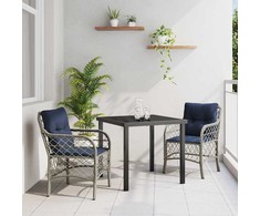 Sodo valgomojo komplektas 3 pcs Pilka ir juoda Ratanas