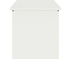 Lauko saugojimo dėžė Balta 100 x 50,5 x 50 cm Plienas