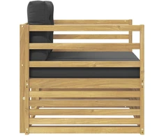 Lauko sofa Balta ir antracito