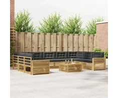Lauko sofos komplektas 10 pcs Balta ir antracito