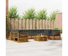 Lauko sofos komplektas 10 pcs Natūralus ir antracitas