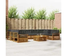Lauko sofos komplektas 10 pcs Natūralus ir antracitas