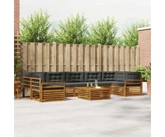 Lauko sofos komplektas su pagalve 8 pcs Natūralus ir antracitas