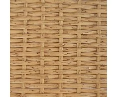 Lauko stalas Natūrali 80 x 40 x 40 cm Plienas ir poli ratanas