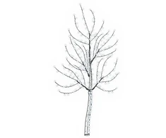 LED sieninė Kalėdų eglutė 180 cm 200 LED Šalta balta Plienas