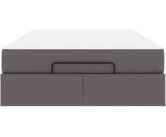 Lova Lovos rėmas su čiužiniu Kita 2 pcs Pilka PVC