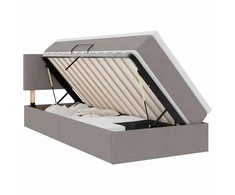 Lova su daiktų laikymo vieta ir LED Taupe 100 x 200 cm audinys