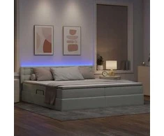 Lova su daiktų laikymo vieta ir LED Šviesiai pilka 200 x 200 cm