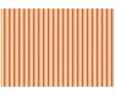 Markizės pakaitinis audinys Įvairiaspalvis 400 x 200 cm