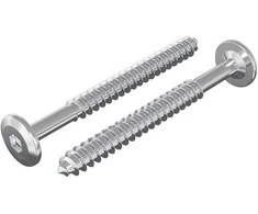 Mediniai varžtai 2 pcs Sidabro M6 x 70 mm Plienas