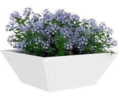 Sodo vazonas Balta 40 x 40 x 15 cm Šaltai valcuotas plienas